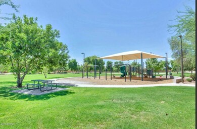 park1 spruce