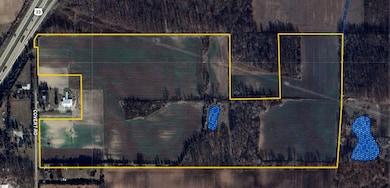 0 Covert Rd, Summerfield Township, MI 49270 - photo 2