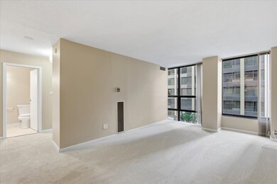 230 E Ontario St unit 1503, Chicago, IL 60611 - photo 3