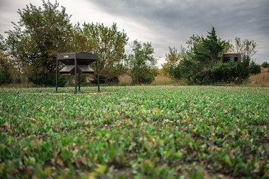 0000 Avenue P, Ellsworth, KS 67439 - photo 5