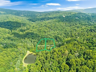 Lots G37 & G39 Lake Rd, Stanley, VA 22851 - photo 2