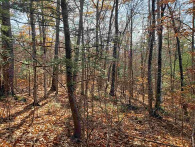 0 Howard Rd, Bridgewater, NH 03222 - photo 6