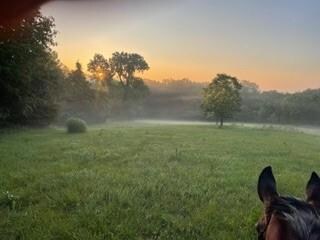 34307 E Drinkwater Rd, Lone Jack, MO 64070 - photo 4