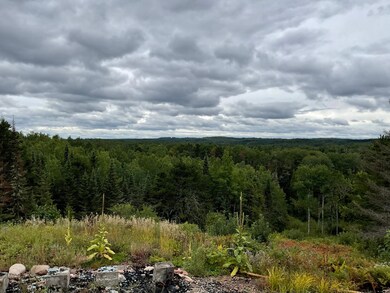 163 Pancore Lake Rd, Tofte, MN 55615 - photo 7