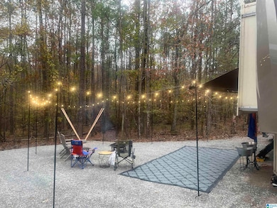 2370 Highway 32, Columbiana, AL 35114 - photo 4