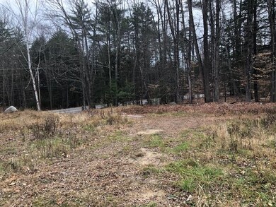 242 Daniel Webster Hwy, Center Harbor, NH 03226 - photo 3
