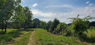 3437 Greene 715 Rd, Paragould, AR 72450 - photo 3