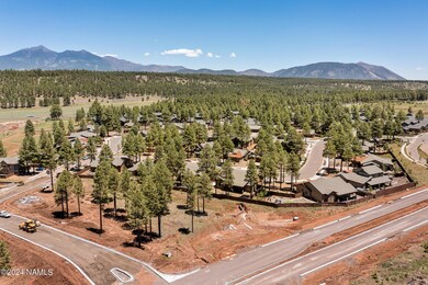 TSAriesDroneView