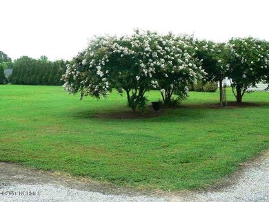 beautiful landscaping