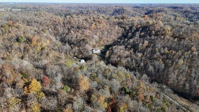 1420 White Hollow Ln, Lafayette, TN 37083 - photo 4