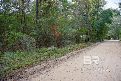 0 Smith Young Rd, Mobile, AL 36695 - photo 2