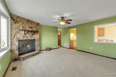 Wood burning fireplace