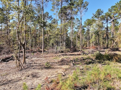 Old_Hwy_24_W_160_Acres-7