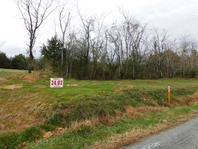 24.02 Ac Brights Rd, Gretna, VA 24557 - photo 3