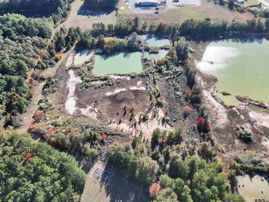 0 Southwest Loop, Carthage, TX 75633 - photo 4