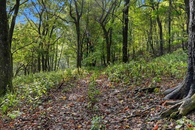 1907 Burke Hollow Rd, Nolensville, TN 37135 - photo 7