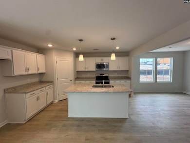 3019 Hallsdale Dr, Elgin, SC 29045 - photo 6