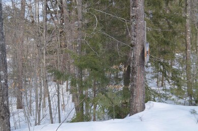 117/17 John Terrace, Ossipee, NH 03864 - photo 2