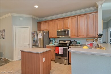 11026 River Trent Ct, Lehigh Acres, FL 33971 - photo 6