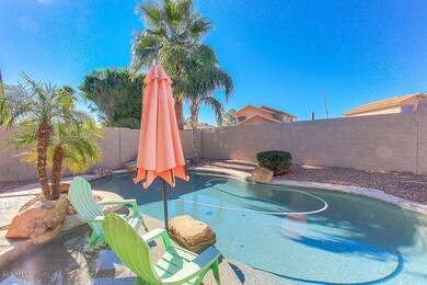 Backyard Oasis