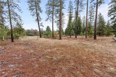102 Birdie Trail, Chewelah, WA 99109 - photo 4