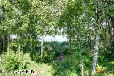 9EF30FBE-4561-4AB2-B678-77BBB9DD1282_4_5
