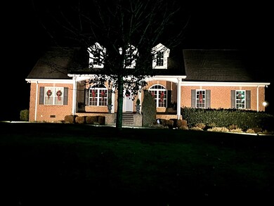 beautiful night picture