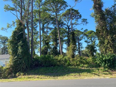 2512 Fern Palm Dr, Edgewater, FL 32141 - photo 2