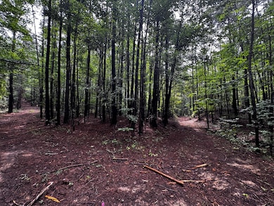 3550 Morgans Run Pkwy, Bessemer, AL 35022 - photo 3