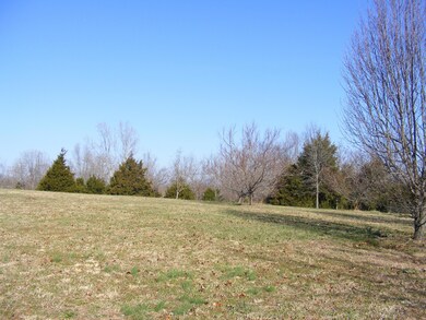 1815 State Highway T, Oldfield, MO 65720 - photo 7