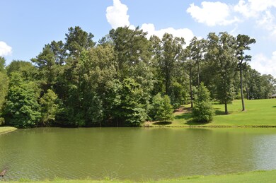 Community Lake