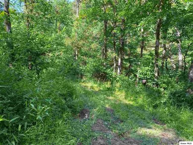 0 Township Rd 539 unit 20210383, Loudonville, OH 44842 - photo 3