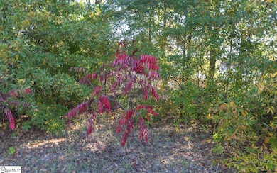 0 Chandler Rd, Greer, SC 29651 - photo 5