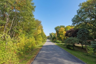 Harbor Dr, Garrison, MN 56450 - photo 4