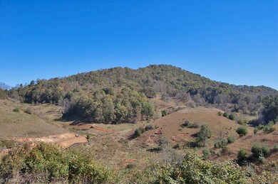 73 Langford Branch Rd, Burnsville, NC 28714 - photo 6