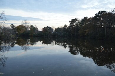 Pond View