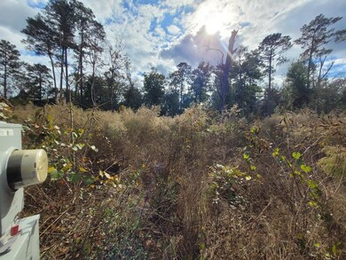 188 Private Road 8040, Kirbyville, TX 75956 - photo 3