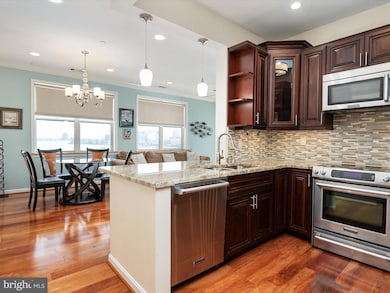 23 Pierside Dr unit 438, Baltimore, MD 21230 - photo 5