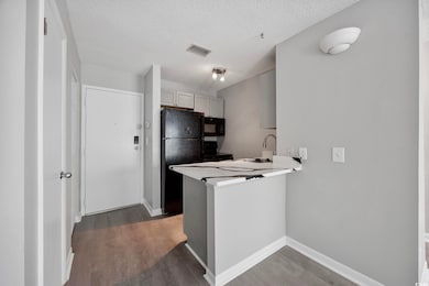 6840 Blue Heron Blvd unit 206, Myrtle Beach, SC 29588 - photo 7