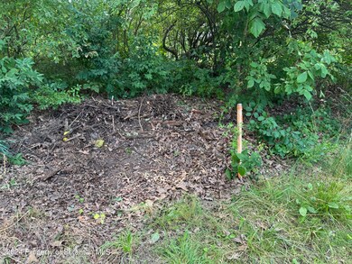 Rt 307 Trout Ln, Overfield Township, PA 18419 - photo 4