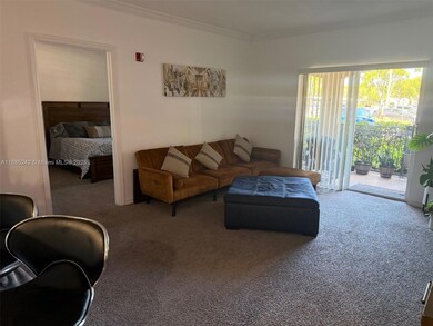 200 SW 117th Terrace unit 10103, Pembroke Pines, FL 33025 - photo 4