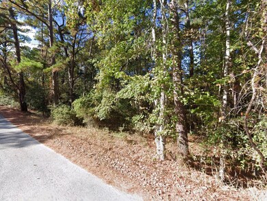 25 Sycamore Dr unit Huntsville TX 77320, Huntsville, TX 77320 - photo 7