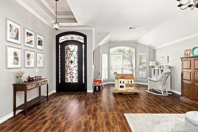 10314 Canyon River, Helotes, TX 78023 - photo 4