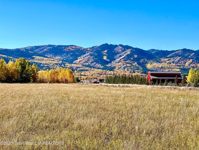 Canyon Wren fall photo4