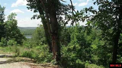 Pt of Lot 10 Mc 8072, Flippin, AR 72634 - photo 2