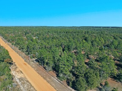 0 Patch Rd unit 990115, Defuniak Springs, FL 32433 - photo 6