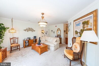 6516 Ridenour Way E unit 1D, Sykesville, MD 21784 - photo 4