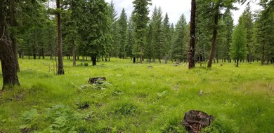 Nna Kirby Creek Rd, Thompson Falls, MT 59873 - photo 6