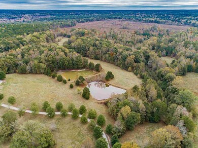 0 Maxeys Rd unit 56438, Union Point, GA 30669 - photo 4