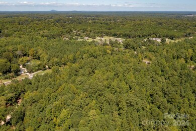 700 Pole Branch Rd, Clover, SC 29710 - photo 4